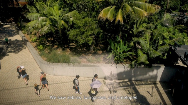 Video Reference: Tree, Pedestrian, Road, Infrastructure, Walking, Adaptation, Leisure, Plant, Tourism, Street