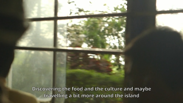 Video Reference: Window, Light, Sunlight, Daylighting, Tree, Adaptation, Leaf, Organism, Glass, Room