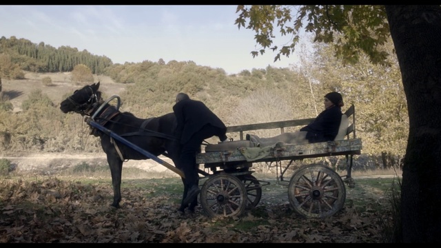 Video Reference: Horse and buggy, Wagon, Vehicle, Cart, Mode of transport, Carriage, Chariot, Adaptation, Working animal