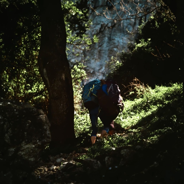 Video Reference: People in nature, Nature, Natural environment, Tree, Forest, Leaf, Green, Light, Wilderness, Jungle