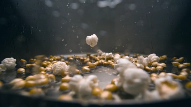 Video Reference: Organism, Freshwater aquarium, Aquarium, Fish