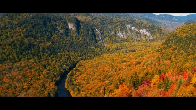 Video Reference: Nature, Leaf, Natural landscape, Wilderness, Vegetation, Mountainous landforms, Biome, Natural environment, Tree, Autumn