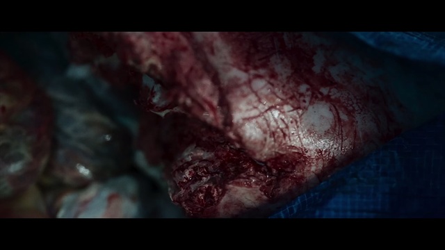 Video Reference: Flesh, Close-up, Darkness, Organism, Human, Human body, Fiction, Photography, Screenshot, Space