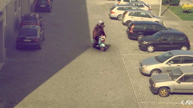 Video Reference: Motor vehicle, Vehicle, Mode of transport, Car, Traffic, Lane, Transport, Road, Asphalt, Pedestrian