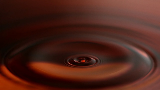 Video Reference: phonograph record, disk, circle, digital