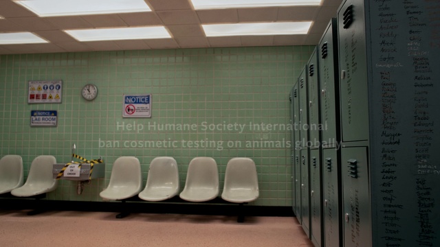 Video Reference: Interior design, Chair, Building, Gas, Flooring, Font, Ceiling, Event, Locker, Room