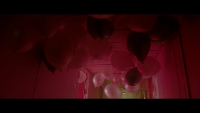 Video Reference: Red, Pink, Magenta, Light, Violet, Petal, Photography, Art, Macro photography, Lens flare