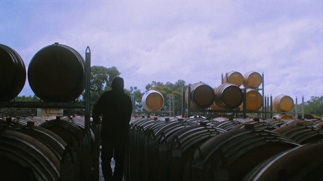 Video Reference: Sky, Pipe, Rural area, Gas, Landscape, Plant, Metal