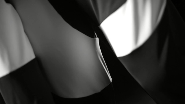 Video Reference: White, Black, Monochrome photography, Black-and-white, Monochrome, Photography, Still life photography, Textile, Dress, Black hair