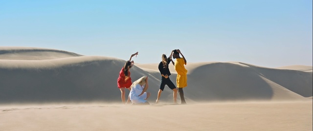 Video Reference: sand, desert, vacation, erg, dune, sahara, aeolian landform, landscape, sky, tourism, Person