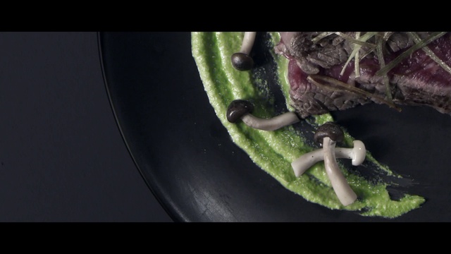 Video Reference: Organism, Macro photography, Plant
