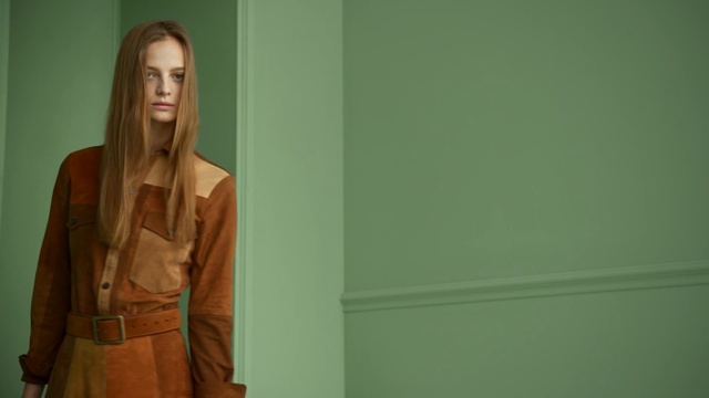 Video Reference: Green, Standing, Fashion, Long hair, Blond, Outerwear, Room, Photography, Fashion design, Jacket, Person