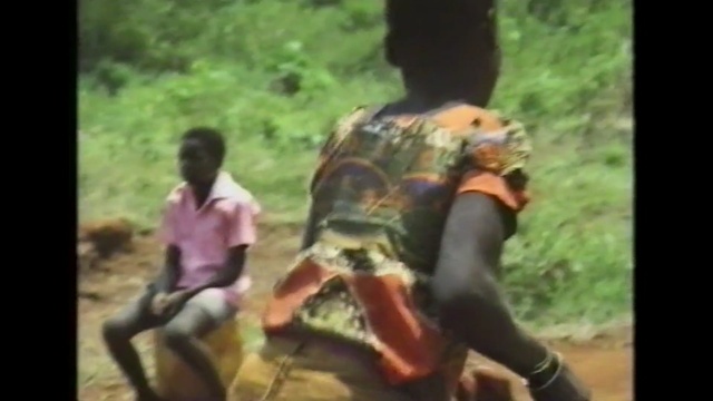 Video Reference: mammal, vertebrate, adventure, jungle, geological phenomenon, tree, recreation, fun, forest