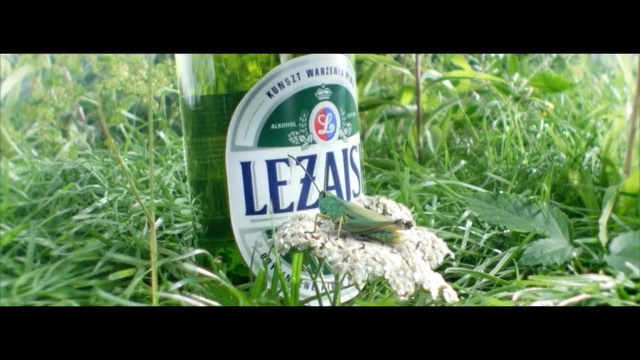 Video Reference: Green, Grass, Nature, Leaf, Lawn, Plant, Grass, Water, Herb, Tree