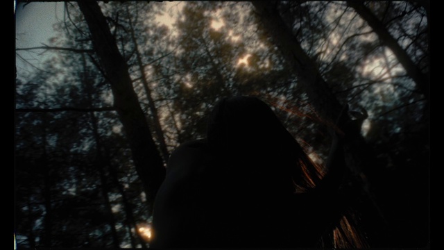 Video Reference: Nature, Tree, Natural environment, Sky, Forest, Branch, Darkness, Light, Sunlight, Atmospheric phenomenon