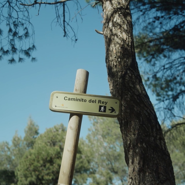 Video Reference: Tree, Signage, Woody plant, Sky, Street sign, Sign, Branch, Plant, Landscape, Trunk