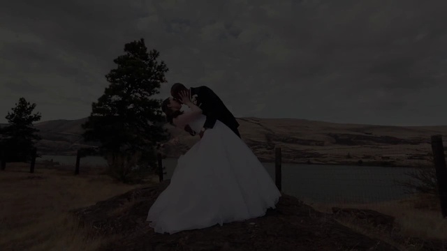 Video Reference: dress, photograph, gown, sky, wedding dress, bridal clothing, bride, darkness, girl, tree