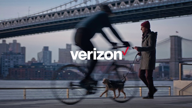 Video Reference: Vehicle, Bmx bike, Companion dog, Canidae, City, Leash