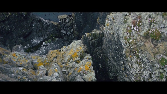 Video Reference: Rock, Bedrock, Geology, Geological phenomenon, Igneous rock, Organism, Outcrop, Mineral, Photography, Formation