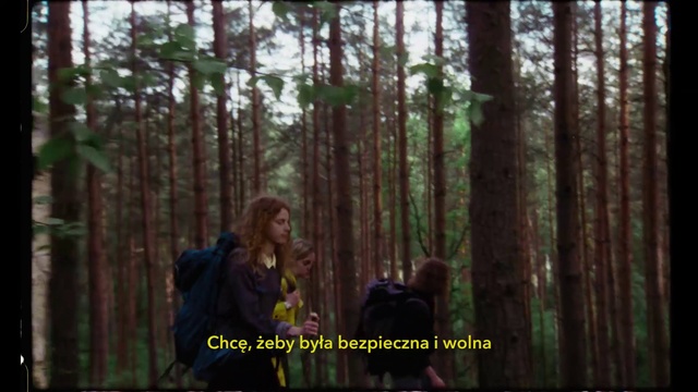 Video Reference: Forest, Nature, Tree, Natural environment, Old-growth forest, Woodland, Nature reserve, Wilderness, Natural landscape, Tropical and subtropical coniferous forests