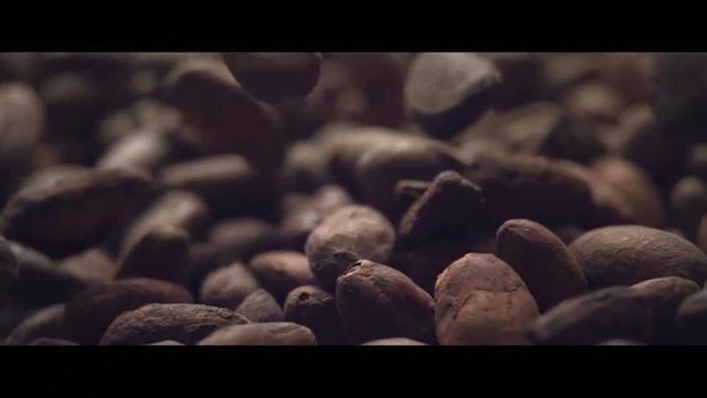 Video Reference: Black, Pebble, Rock, Still life photography, Photography, Gravel, Sky, Organism, Monochrome photography, Stock photography