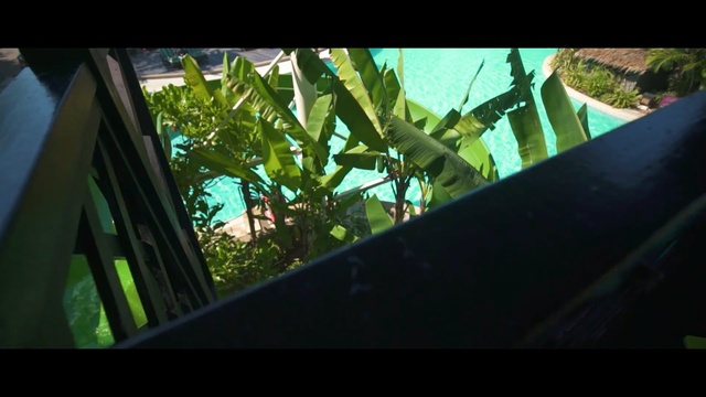 Video Reference: green, leaf, ecosystem, tree, vegetation, plant, flora, grass, sunlight, screenshot