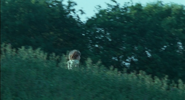 Video Reference: water, sea, otter, ocean, puffer