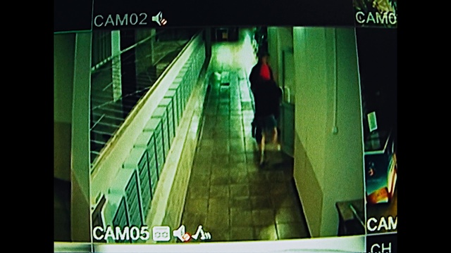 Video Reference: Green, Display device, Screen, Technology, Organism, Font, Multimedia, Electronic device, Screenshot, Photo caption