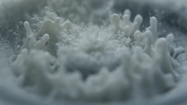 Video Reference: frost, freezing, winter, snow, sky, ice, macro photography, black and white