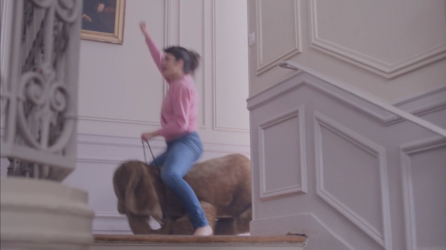Video Reference: Pink, Wall, Window, Fawn, Sitting, Wood, Tail, Vacation, Floor, House, Person