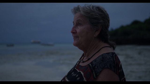 Video Reference: Beauty, Sky, Screenshot, Lady, Human, Eye, Photography, Flash photography, Mouth, Darkness, Person, Outdoor, Holding, Man, Looking, Standing, Water, Woman, Front, Wearing, Hand, Beach, Young, Cloudy, Shirt, White, Kite, Red, Remote, Blue, Ocean, Human face, Clothing