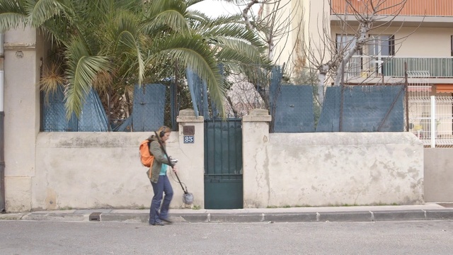 Video Reference: Wall, Tree, Vacation, Street, Plant, Tourism, Person