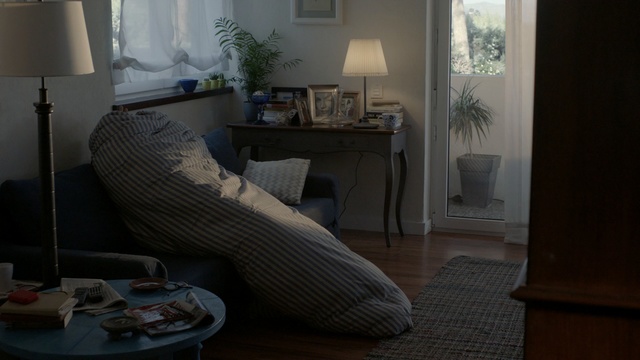 Video Reference: room, furniture, living room, home, interior design, floor, table, couch, house, chair, Person