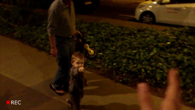 Video Reference: mammal, vertebrate, night, darkness, tree, grass, midnight, fun, girl, plant