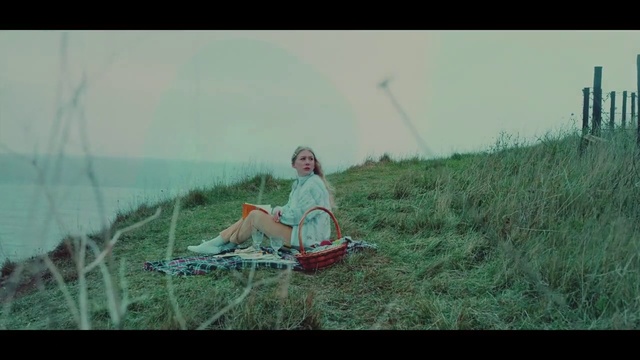 Video Reference: People in nature, Photograph, Sitting, Grass, Green, Snapshot, Grass family, Fun, Ecoregion, Adaptation