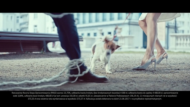 Video Reference: Dog, Canidae, Leg, Snapshot, Companion dog, Footwear, Dog breed, Human leg, Fox terrier, Sporting Group, Person