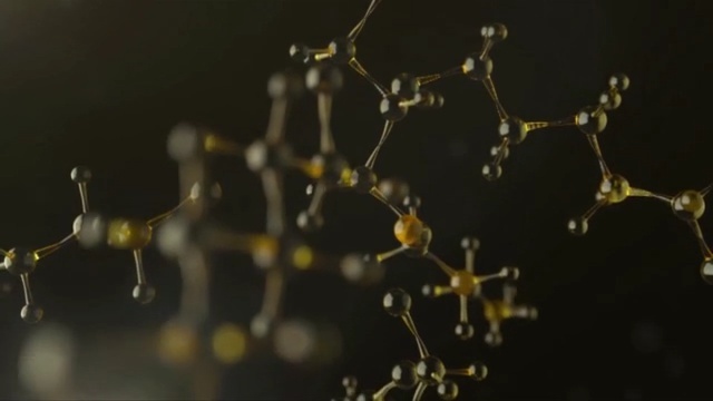 Video Reference: tree, woody plant, plant, vascular plant, branch, spring, Person