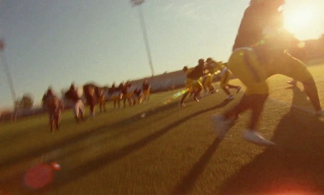 Video Reference: Camel, Landscape, Road, Vehicle
