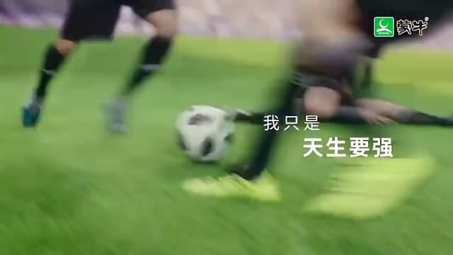 Video Reference: Panda, Football, Football player, Soccer ball, Soccer, Player, Ball, Sports equipment, Team sport, Ball game