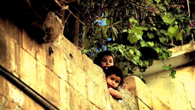 Video Reference: Adaptation, Organism, Tree, Child, Photography, Temple, Plant, Person