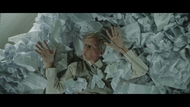 Video Reference: Human, Art, Illustration, Organism, Photography, Plant, Portrait, Visual arts, Paper, Screenshot, Person