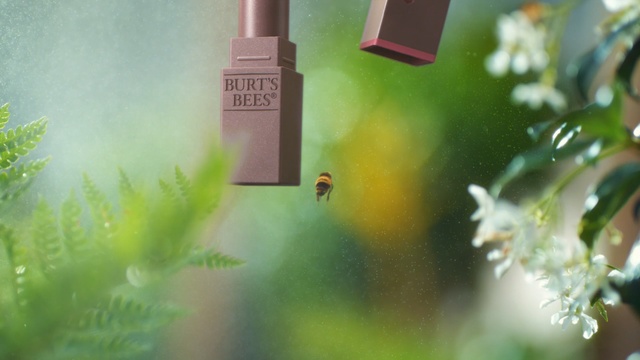 Video Reference: Green, Leaf, Botany, Grass, Tree, Spring, Plant, House, Macro photography, Insect