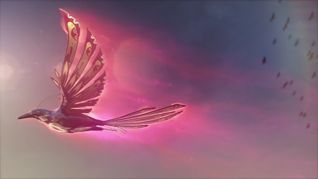 Video Reference: sky, wing, bird, beak, computer wallpaper, feather