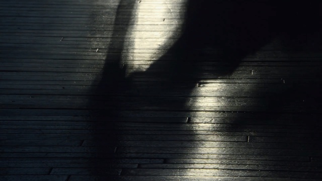 Video Reference: black, darkness, atmosphere, light, black and white, wood, shadow, line, reflection, monochrome, Person