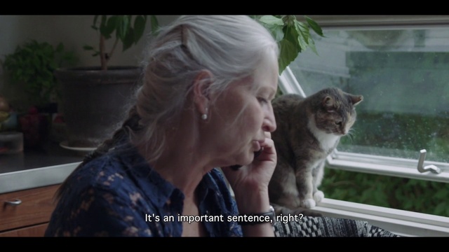 Video Reference: Cat, Mammal, Vertebrate, Felidae, Small to medium-sized cats, Facial expression, Head, Photo caption, Snapshot, Whiskers