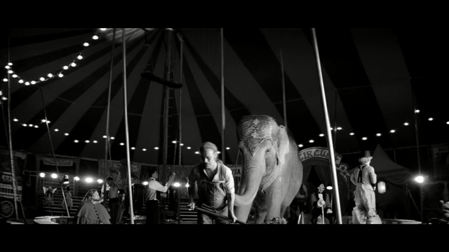 Video Reference: Entertainment, Performance, Photograph, Music, Monochrome, Snapshot, Performing arts, Black-and-white, Event, Monochrome photography, Person