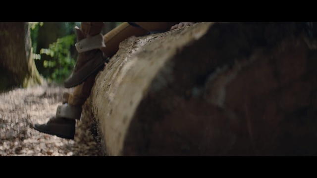 Video Reference: Rock, Tree, Geology, Wood, Landscape, Soil, Art, Wildlife, Screenshot, Adventure