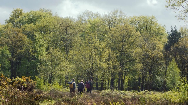Video Reference: bag, ecosystem, nature, vegetation, tree, nature reserve, wilderness, woodland, forest, temperate broadleaf and mixed forest, shrubland