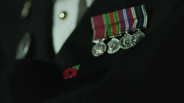 Video Reference: Green, Fashion accessory, Button