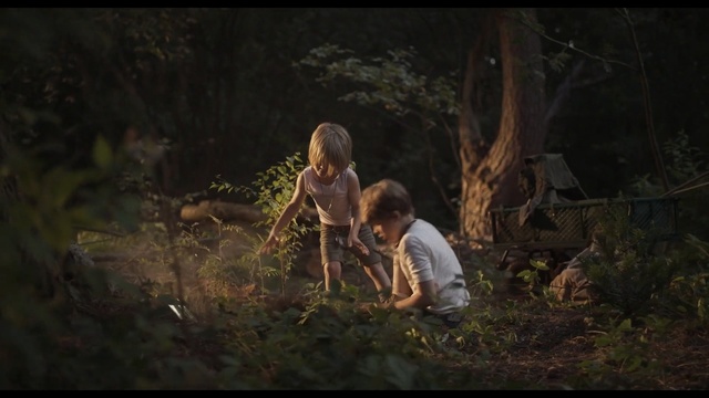 Video Reference: People in nature, Nature, Natural environment, Wilderness, Forest, Human, Photography, Woodland, Jungle, Tree